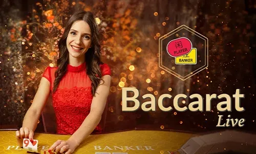 Guide to Live Casino Games